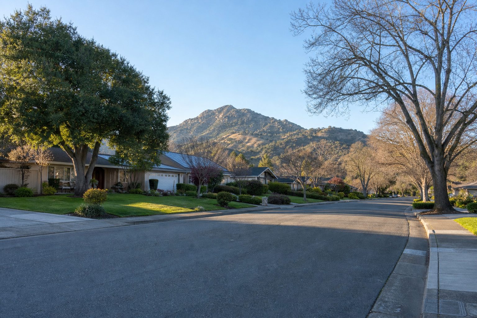 Northgate area Walnut Creek street of ranch homes with Mount Diablo behind